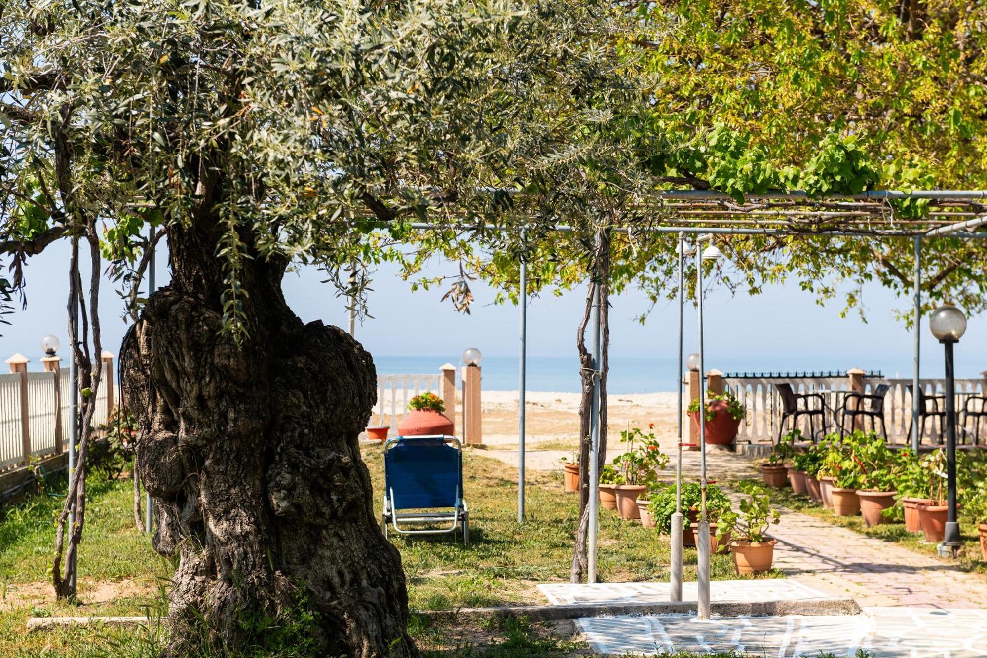 Opalium Beach Front Suites Potos Exterior photo